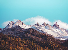 以官方入口的力量为信任护航：官方直达，守护用户每一次选择